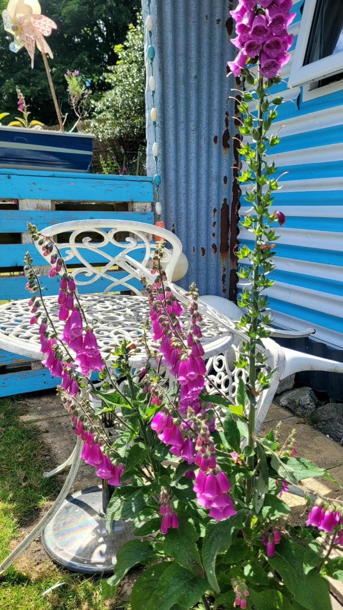 Hotel Treguth Glamping Unique Experience - Themed Huts Saint Day Exterior foto