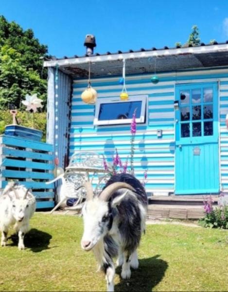 Hotel Treguth Glamping Unique Experience - Themed Huts Saint Day Exterior foto